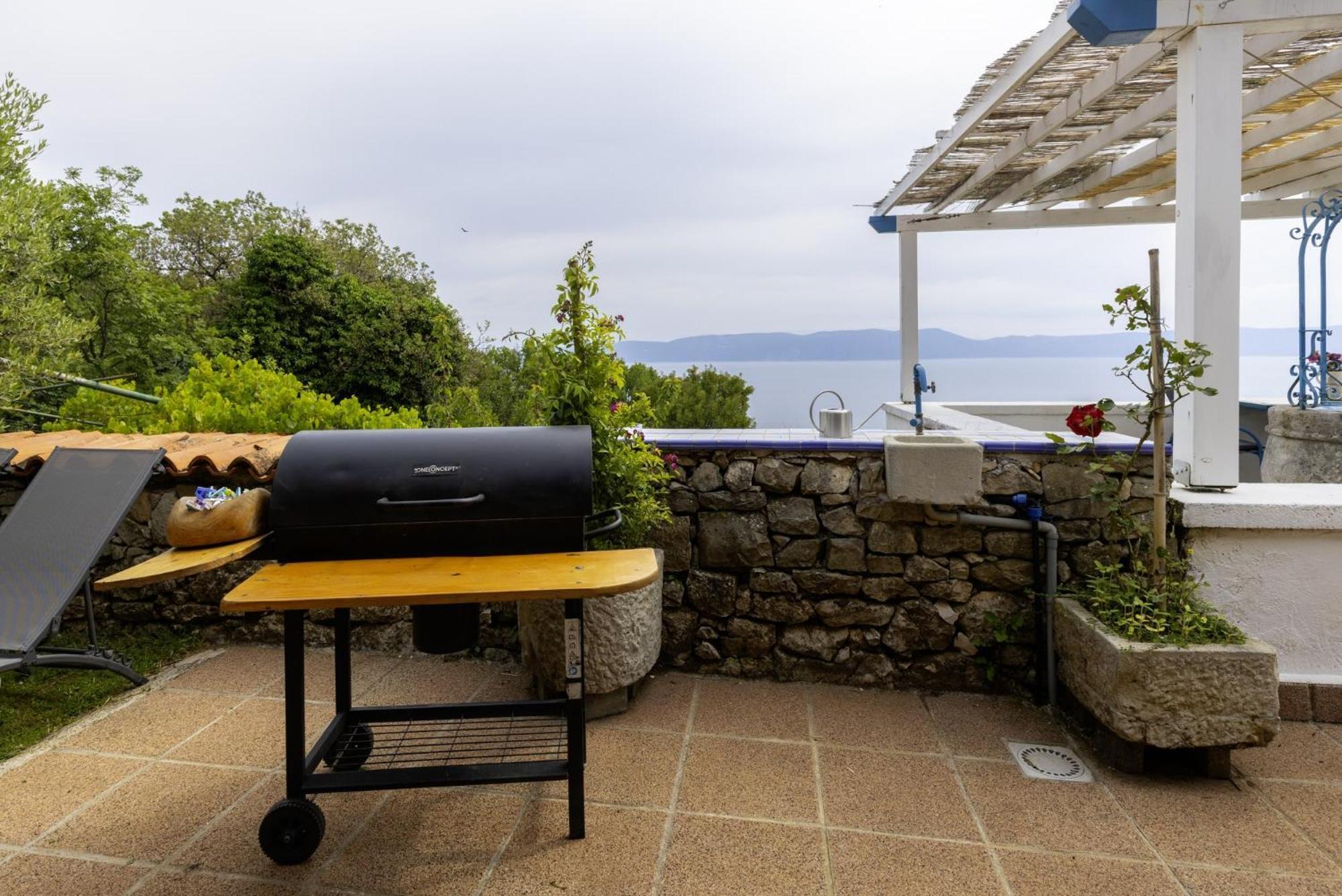 Villa Crni In Crni - Haus Fuer 6 Personen Labin  Esterno foto
